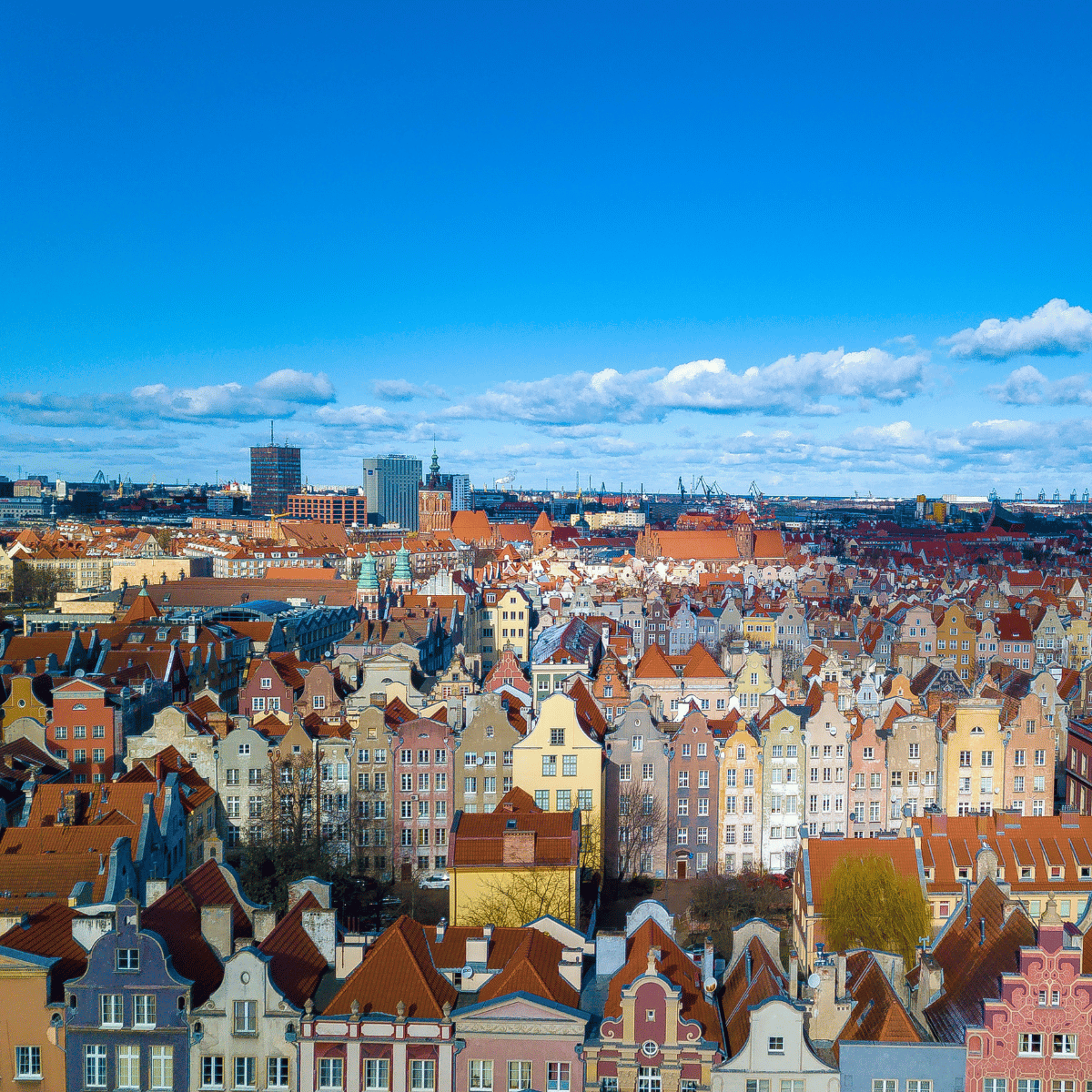 Google Ads Toruń – kampanie PPC